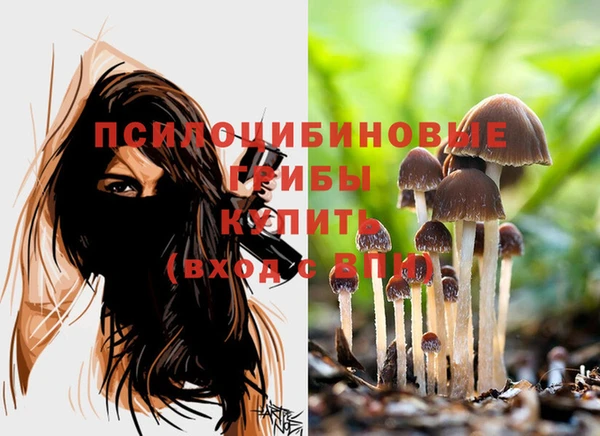 а пвп мука Абаза
