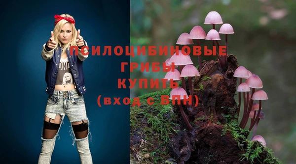 первитин Абинск