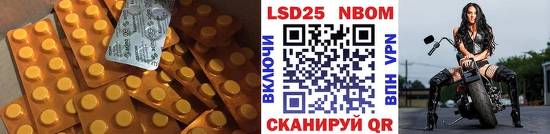 ЛСД экстази ecstasy  Каменногорск 