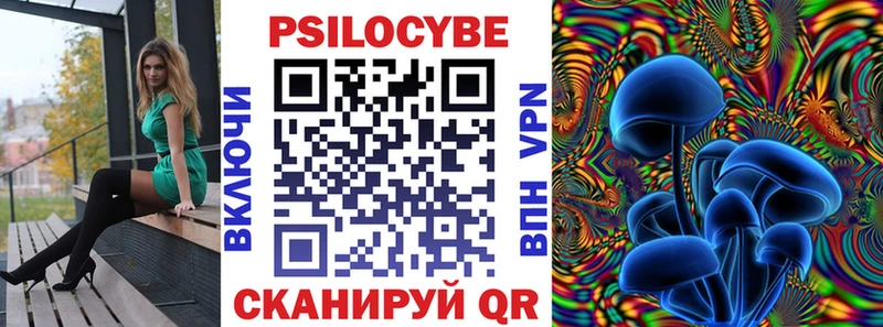 Псилоцибиновые грибы ЛСД  блэк спрут tor  Каменногорск 